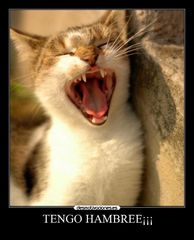 TENGO HAMBREE¡¡¡ -