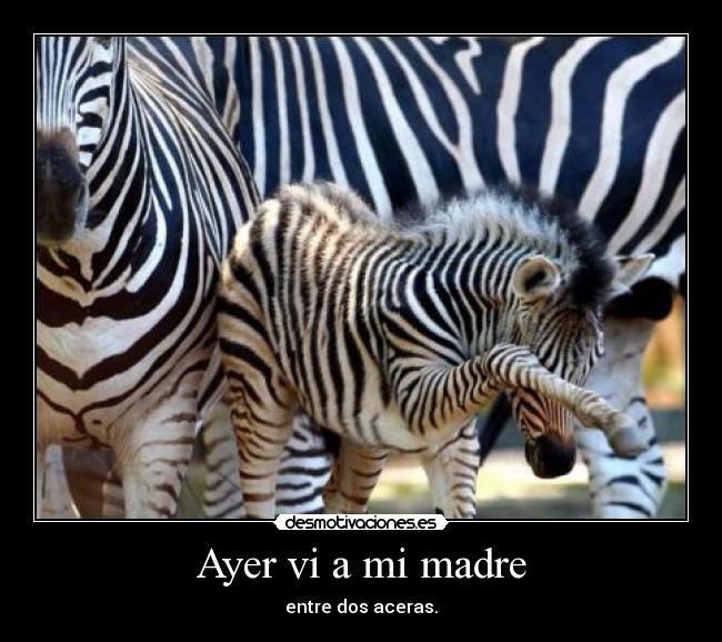 carteles madre desmotivaciones