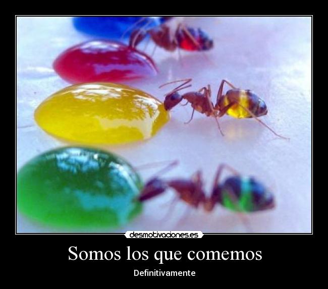 Somos los que comemos - 