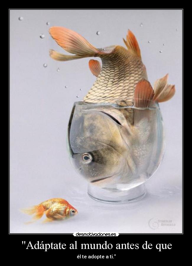Adáptate al mundo antes de que - 
