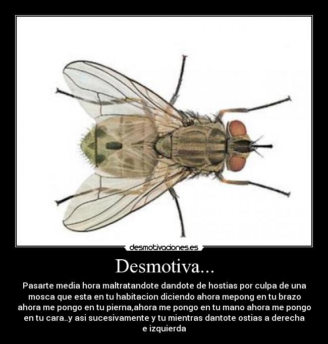 Desmotiva... - 