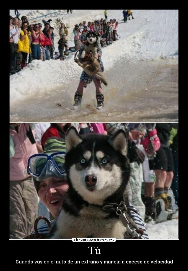 Tú - Cuando vas en el auto de un extraño y maneja a exceso de velocidad