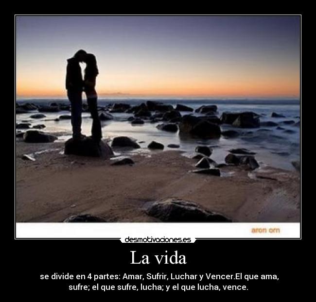 carteles vida vida desmotivaciones