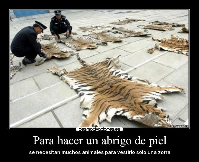 Para hacer un abrigo de piel - se necesitan muchos animales para vestirlo solo una zorra