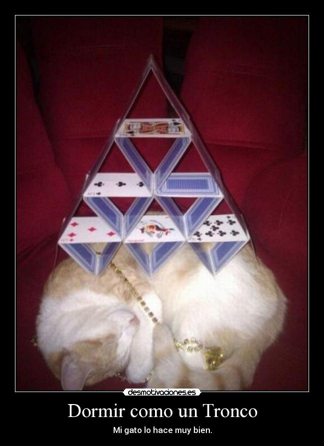 Dormir como un Tronco -