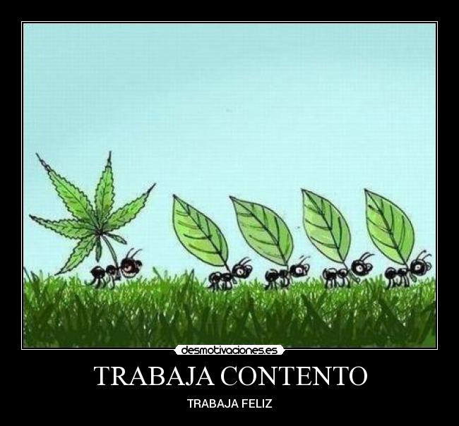 TRABAJA CONTENTO -