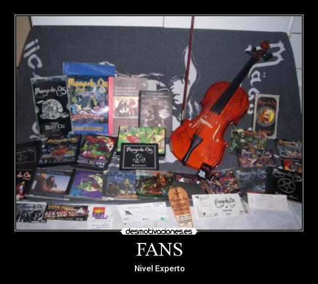 FANS - Nivel Experto