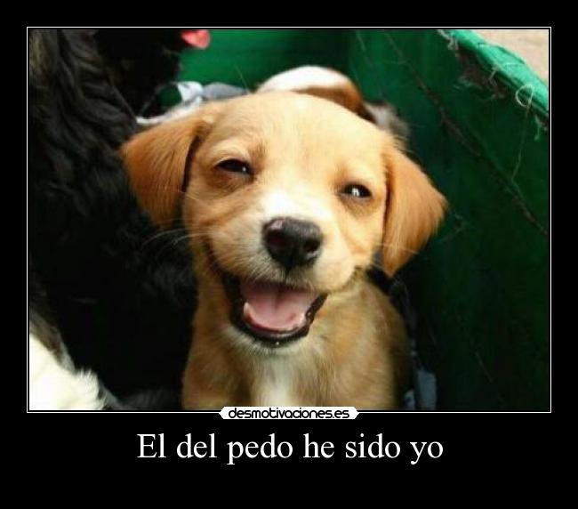 El del pedo he sido yo - 