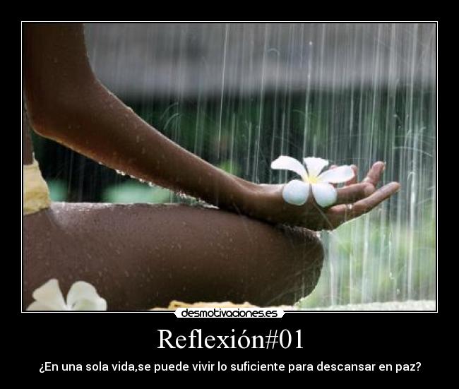Reflexión#01 - ¿En una sola vida,se puede vivir lo suficiente para descansar en paz?
