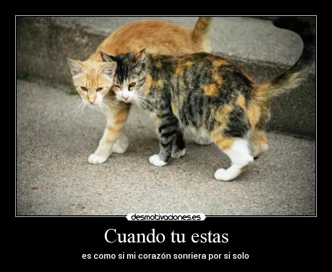 Cuando tu estas - 