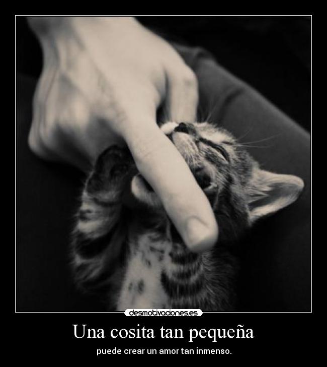 Una cosita tan pequeña - puede crear un amor tan inmenso.