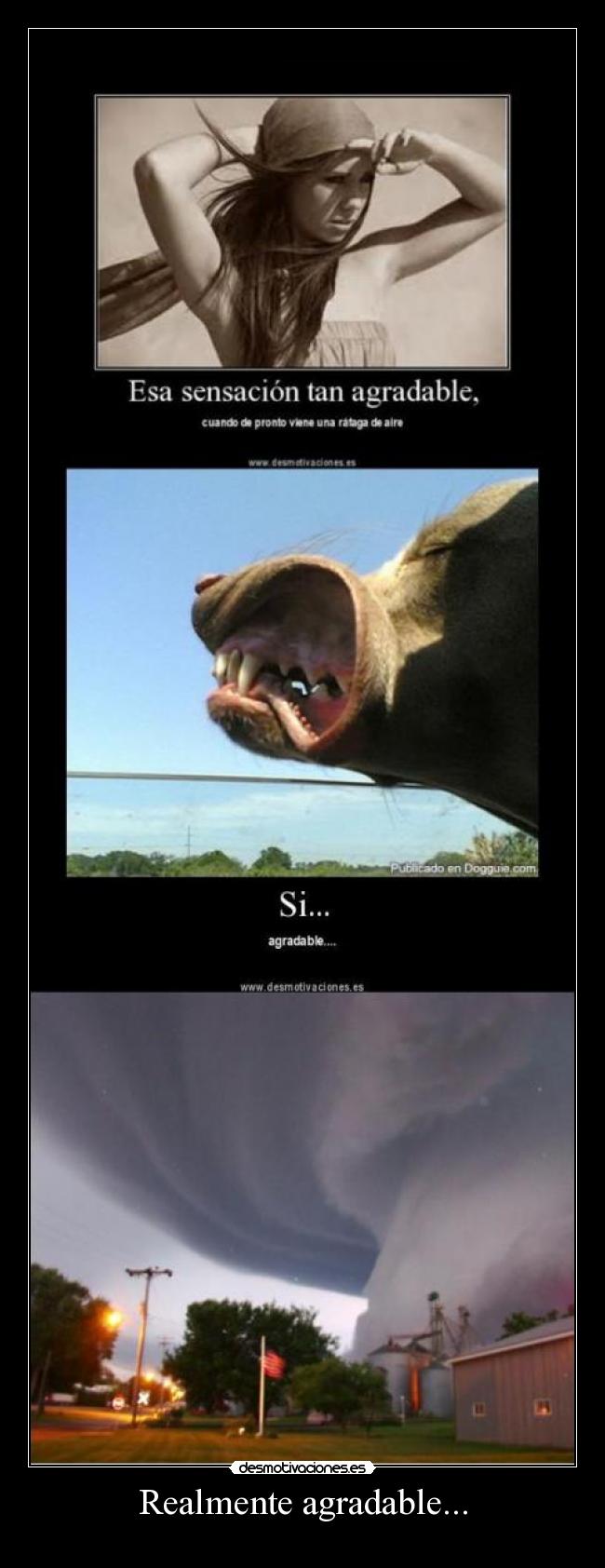 Realmente agradable... - 