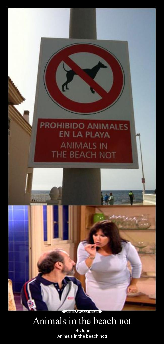 Animals in the beach not - 