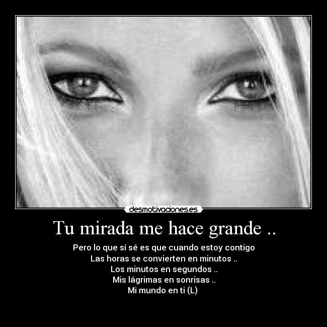 carteles susana tedesea desmotivaciones