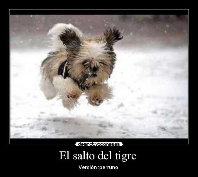 El salto del tigre -