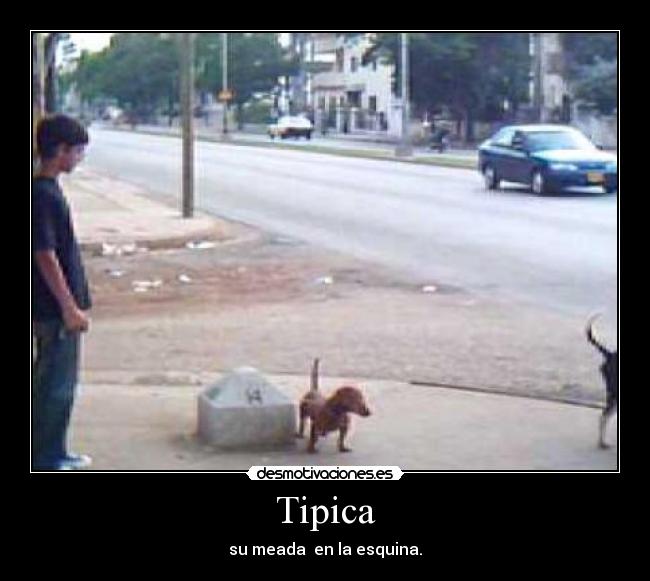 Tipica - su meada  en la esquina.