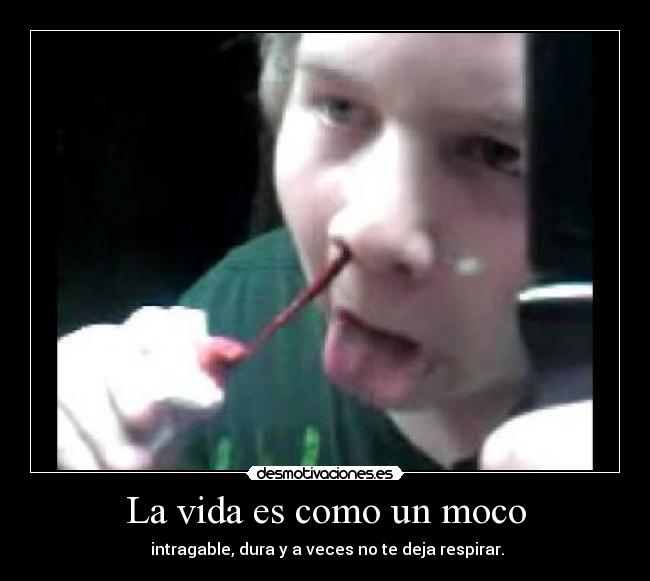 carteles vida que haces viendo las etiquetas mira cartel pendejo desmotivaciones