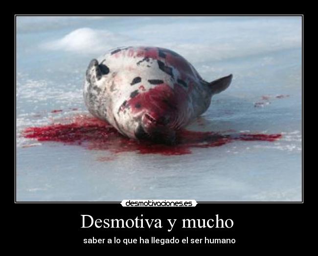 carteles desmotivacion maxima desmotivaciones