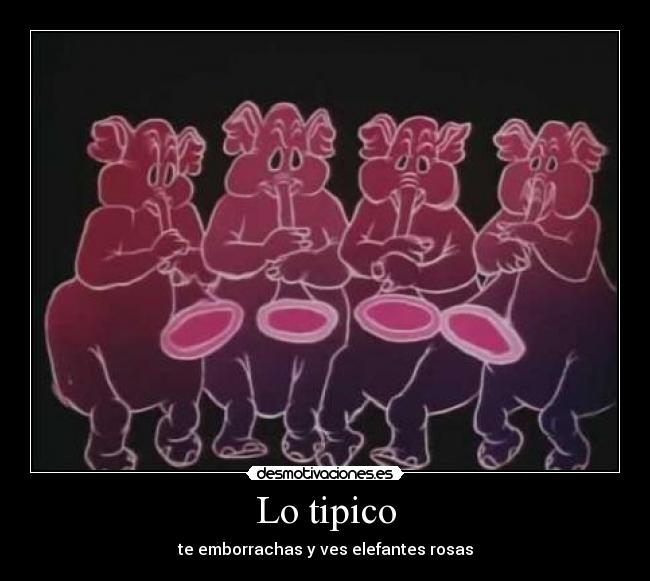 Lo tipico - te emborrachas y ves elefantes rosas