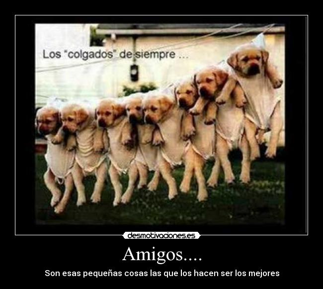 Amigos.... - Son esas pequeñas cosas las que los hacen ser los mejores