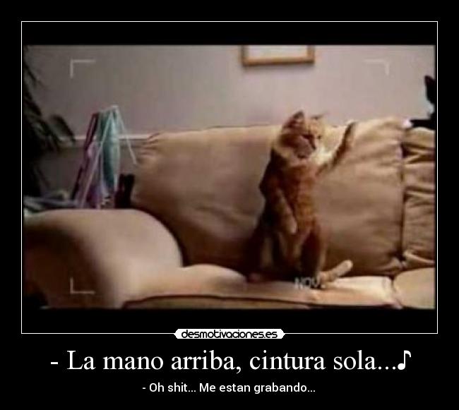 - La mano arriba, cintura sola...♪ - 