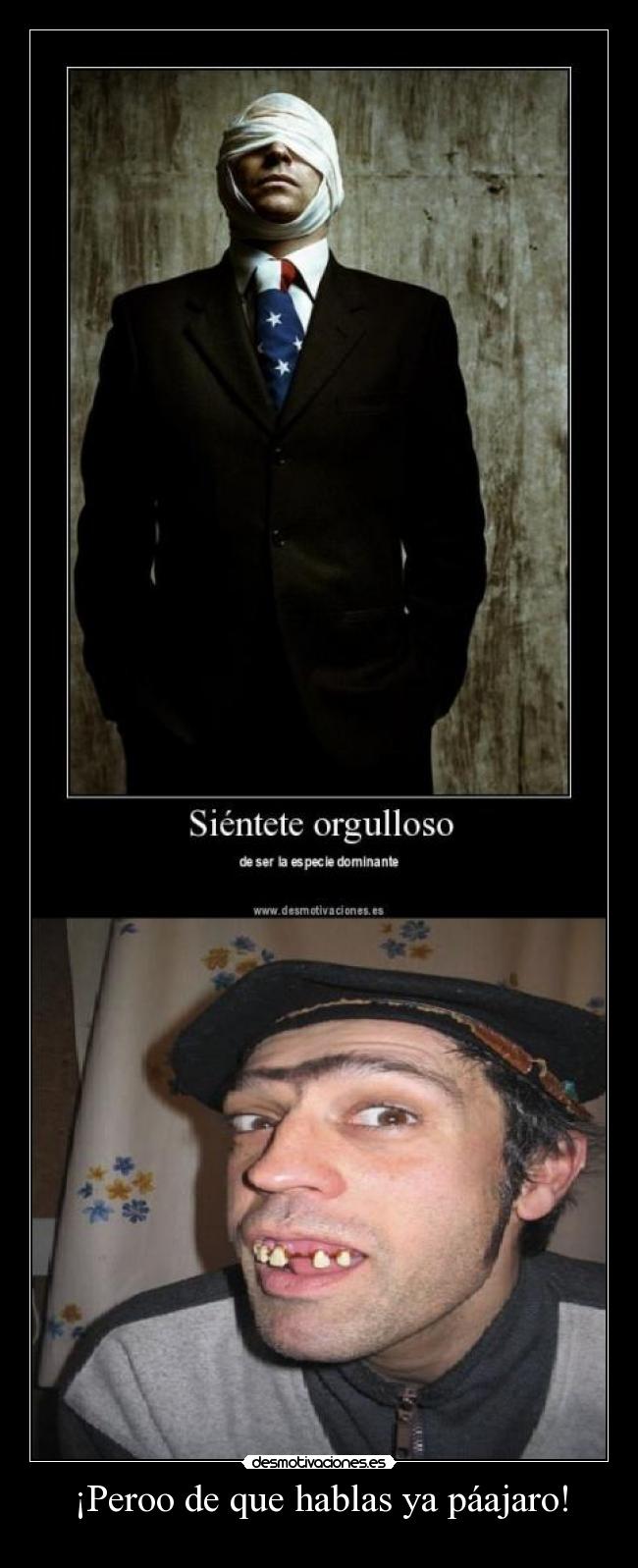 carteles paleto desmotivaciones