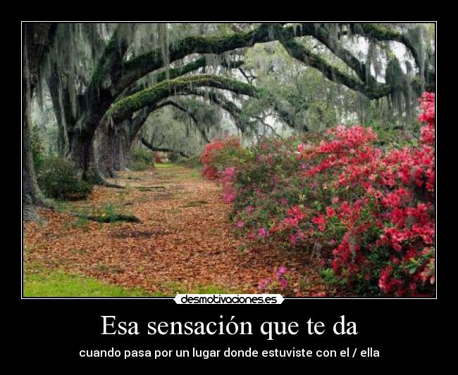 carteles recuerdo sensacion sentimientos desmotivaciones