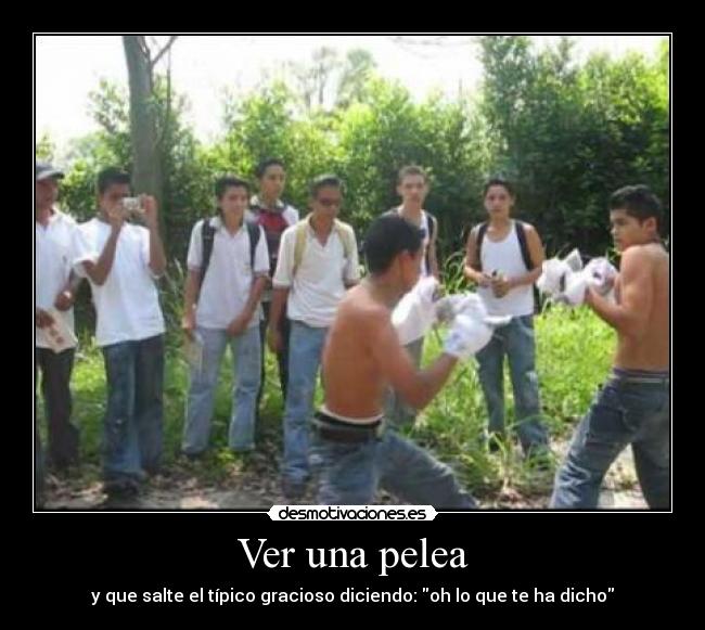 Ver una pelea - 