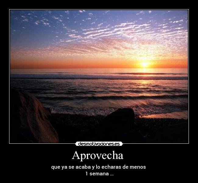 Aprovecha - que ya se acaba y lo echaras de menos
1 semana ...