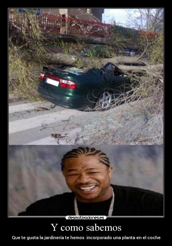 Y como sabemos - Que te gusta la jardinería te hemos incorporado una planta en el coche