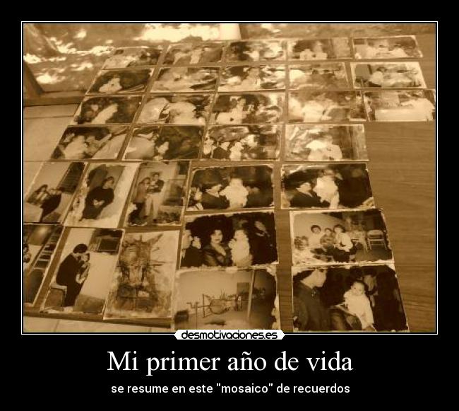 Mi primer año de vida - 