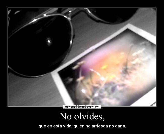 No olvides, - que en esta vida, quien no arriesga no gana.