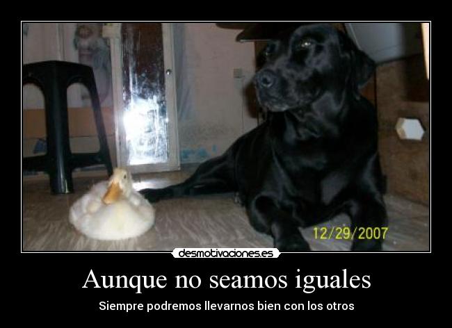 Aunque no seamos iguales -