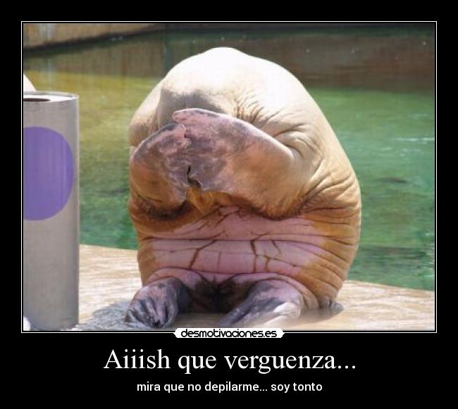 Aiiish que verguenza... -