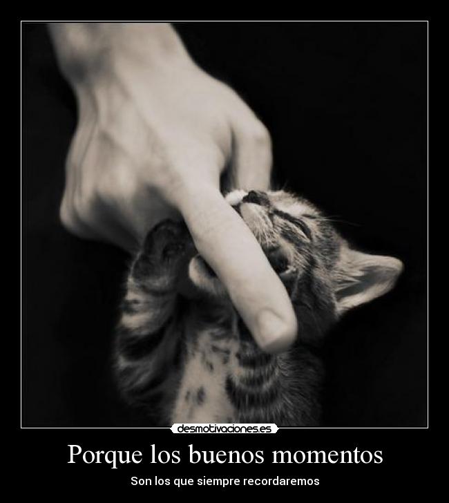 Porque los buenos momentos - Son los que siempre recordaremos