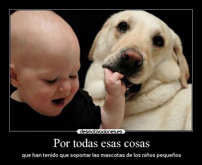 Por todas esas cosas - 