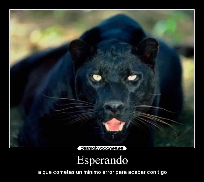 Esperando - a que cometas un mínimo error para acabar con tigo