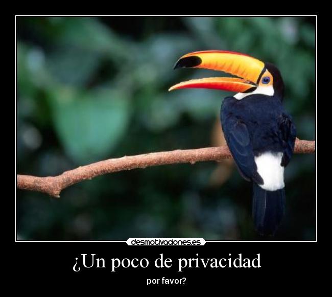 ¿Un poco de privacidad - por favor?