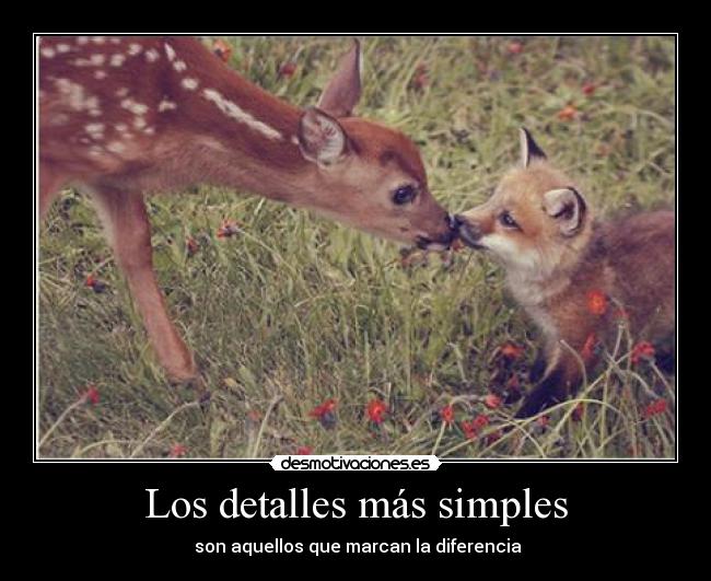 Los detalles más simples - 