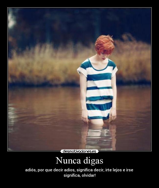 carteles nunca digas adioss desmotivaciones