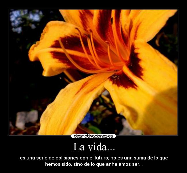 La vida... - es una serie de colisiones con el futuro; no es una suma de lo que
hemos sido, sino de lo que anhelamos ser...