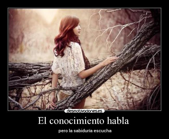 El conocimiento habla  - 