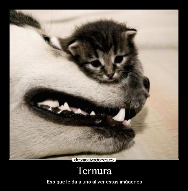 carteles desmotivaciones