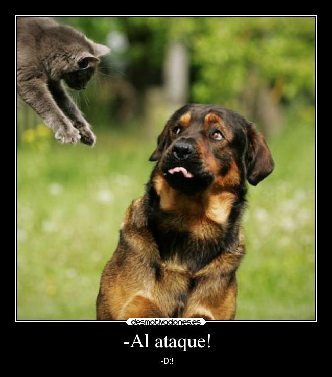-Al ataque! - -D:!