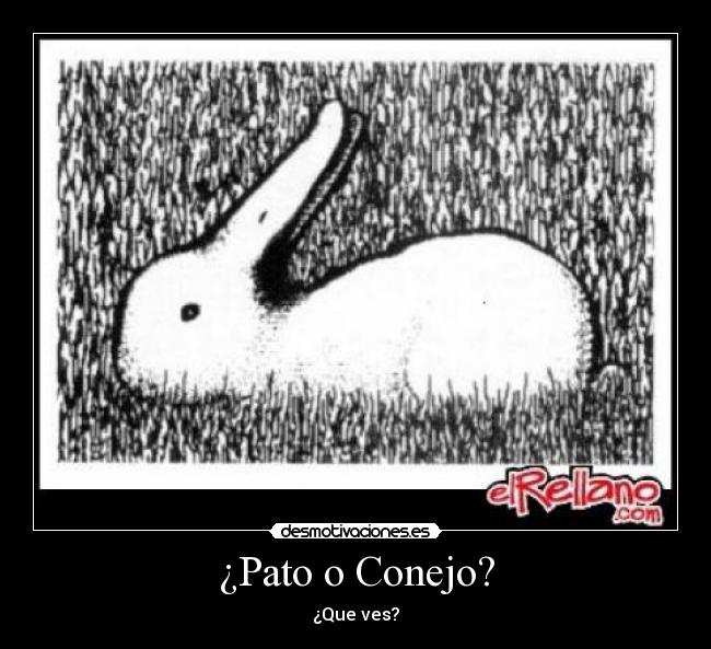 ¿Pato o Conejo? - ¿Que ves?