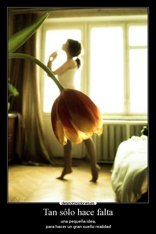 carteles quiero bailar como existiera gravedad desmotivaciones