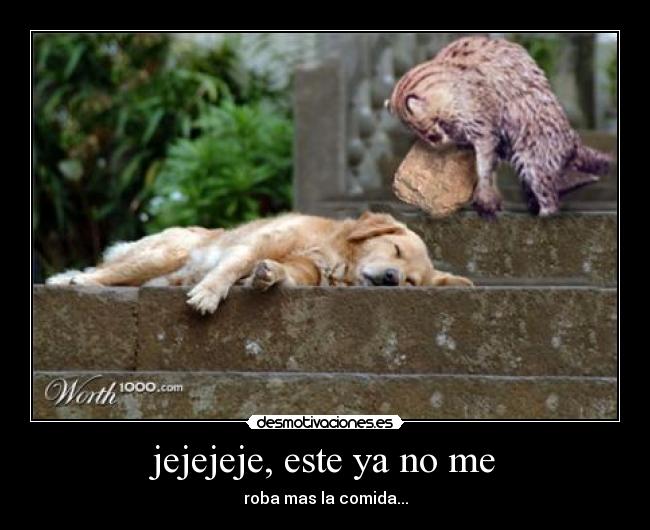 jejejeje, este ya no me - roba mas la comida...