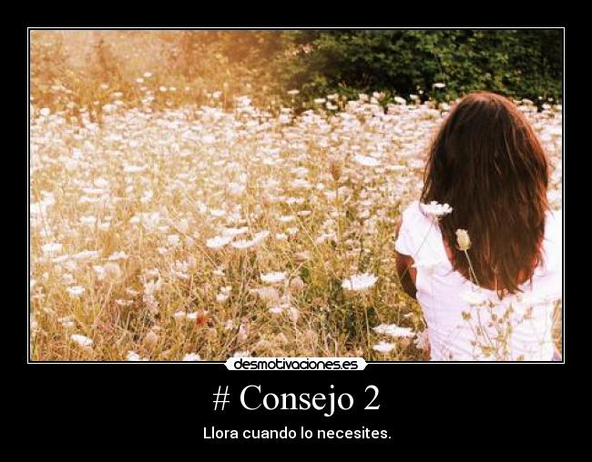 # Consejo 2 - 