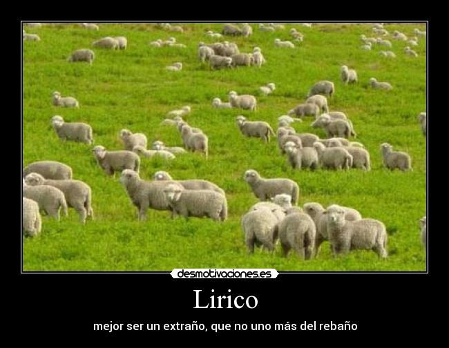 Lirico - mejor ser un extraño, que no uno más del rebaño