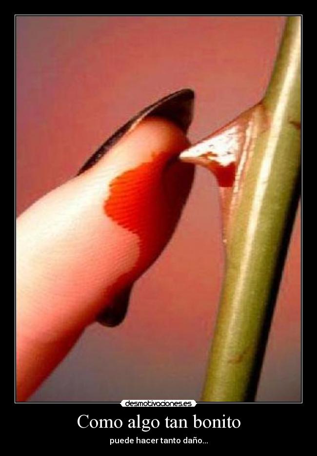 Como algo tan bonito - puede hacer tanto daño...